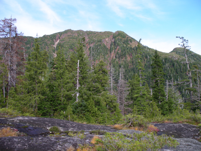 A scene along the John Mountain Trail in the Ketchikan area