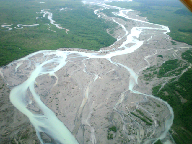 Braided stream with milky sediment laden waters debouching from Hallo GlacierLake and headed to Shelikof Strait