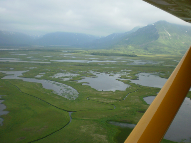 Coastal wetlands between Hallo Glacier and Shelikof Strait