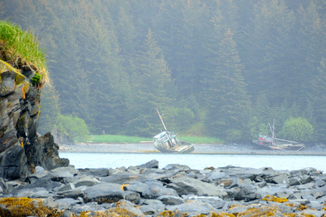 Derelict fishing boats on the shore on Kodiak Island