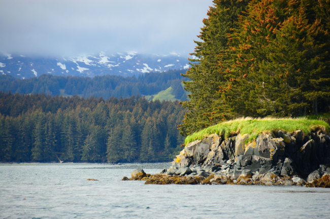 A contrast of colors along Kodiak Island shoreline