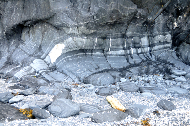 Banded white and gray metamorphic rock layers that have eroded and paved thebeach with intermingled white and gray rocks