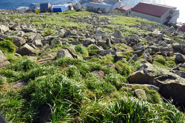 Looking down on the native village at Little Diomede Island