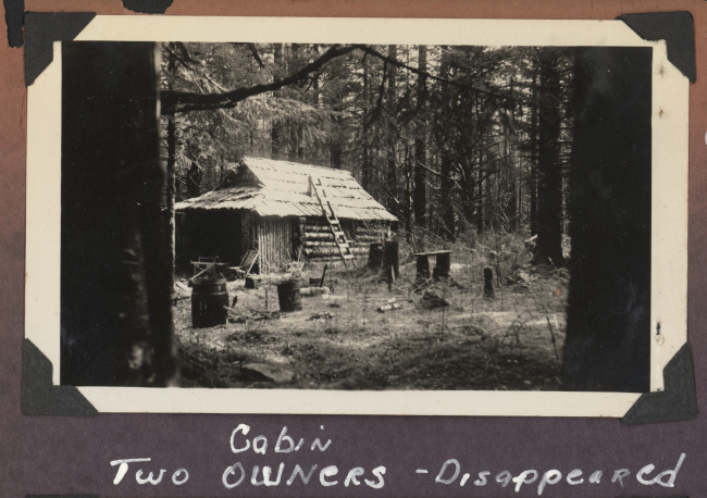 A cabin in the forest - the two owners had disappeared