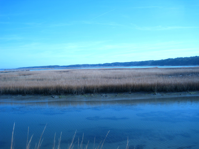 Looking across the wetlands of Chincoteague Bay to Assateague Island