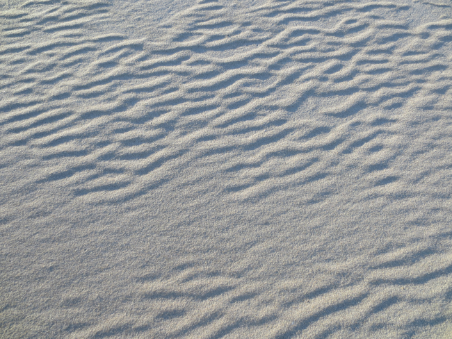 Sand dunes in the Sahara or inch-high ripple pattern in sand of AssateagueIsland?  The latter
