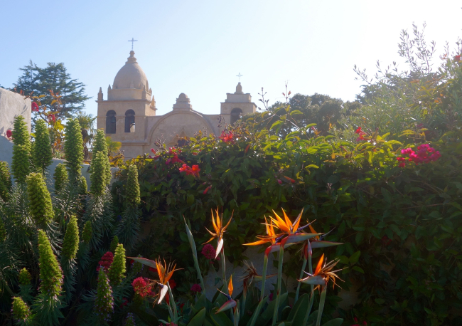 The garden in the courtyard at Carmel Mission