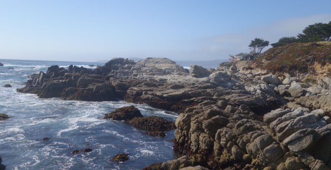 The rocky rugged coastline south of Carmel