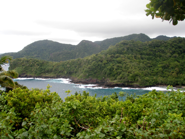 A small embayment seen through the lush vegetation of American Samoa
