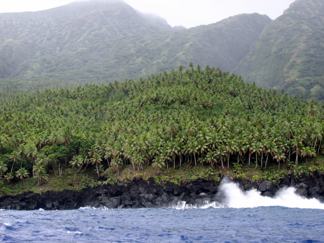 Lush jungle growth on remote island of the Commonwealth of the Northern MarianaIslands
