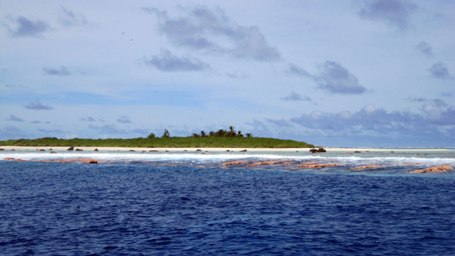 A view of the reef at Rose Atoll