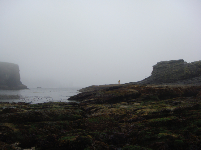 A marine biologist in the distance on cold foggy day at Tatoosh Island