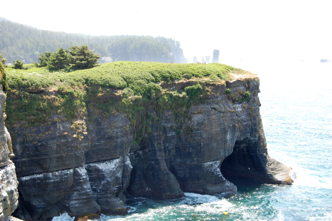 Sea cliffs and caves on Tatoosh Island