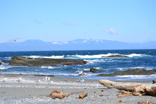Looking north across the entrance to the Strait of Juan de Fuca