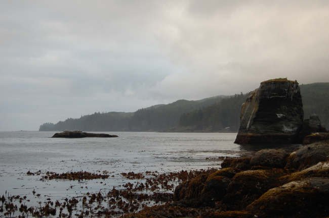 Looking east along the north side of the Olympic Peninsula at about half-tide on Tatoosh Island