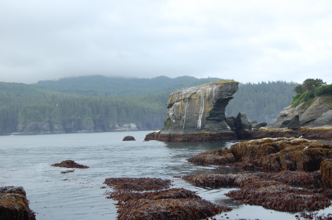 Looking south to Cape Flattery from Tatoosh Island at a low tide