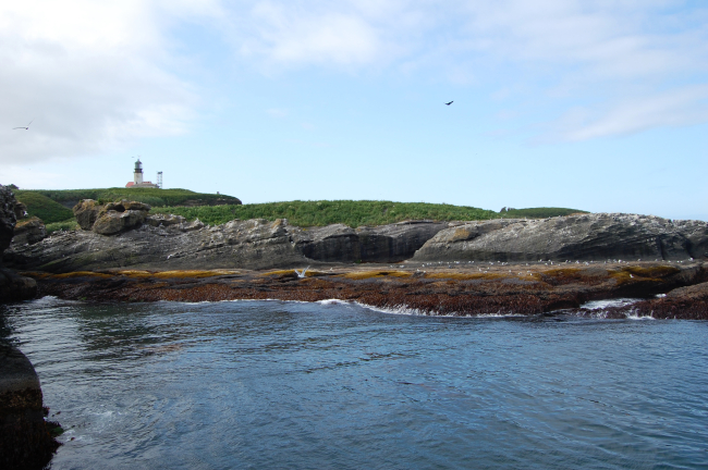 Looking towards the lighthouse across Tatoosh Island