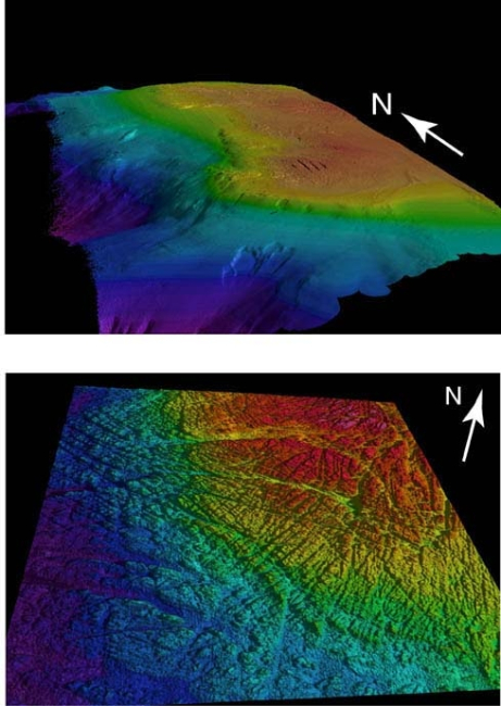 3-D maps of Heceta Bank made from multi-beam data