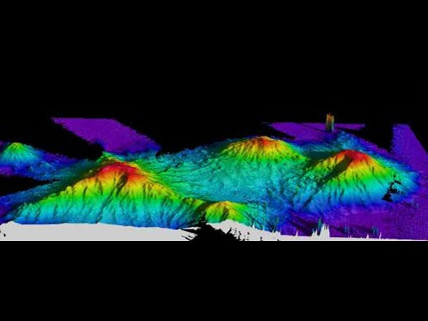 Manning Seamount complex in the North Atlantic Ocean