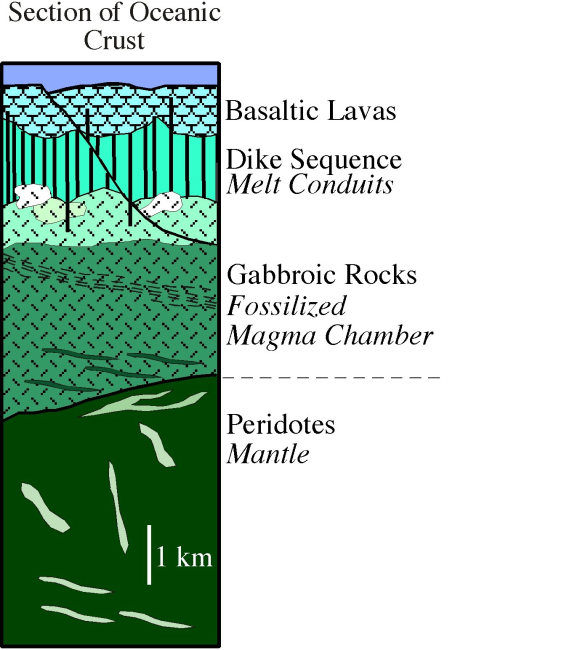 Generalized cartoon showing the various layers of rock that make up theoceanic crust