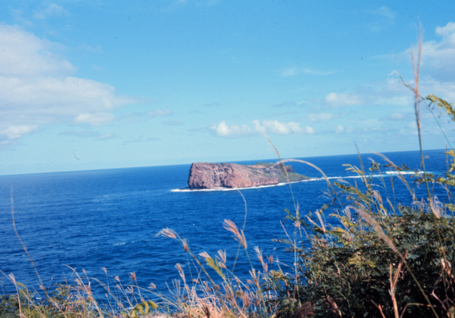 A view of Rabbit Island