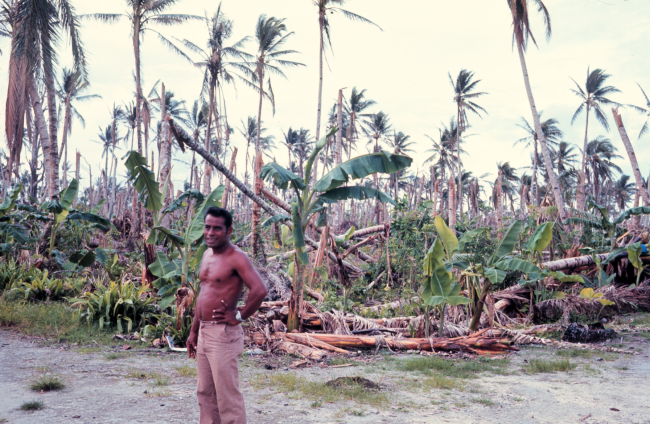 Native standing by destroyed banana and coconut groves after Typhoon Amy