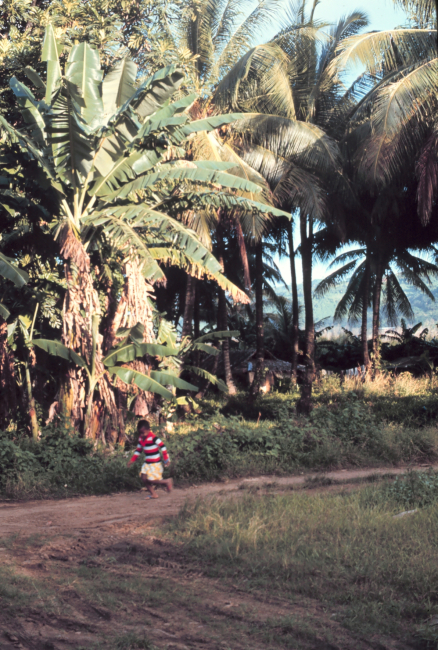 Native child on a rustic path