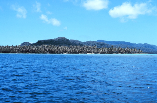 Coconut plantation on coral spit of high volcanic island