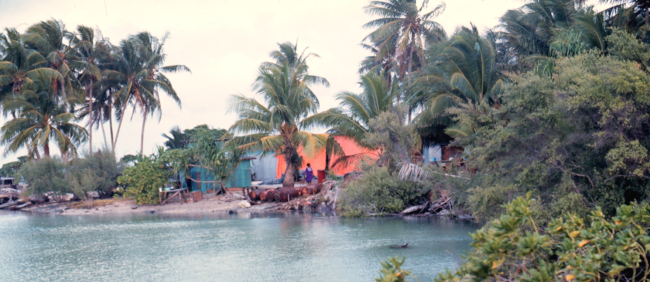 Lagoon side with native dwellings
