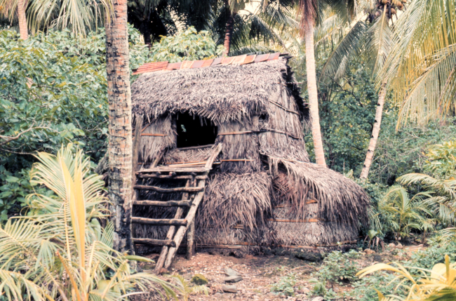 Small native house
