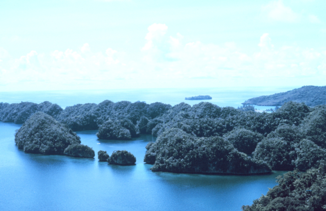 Limestone islets in karst topography of Palau