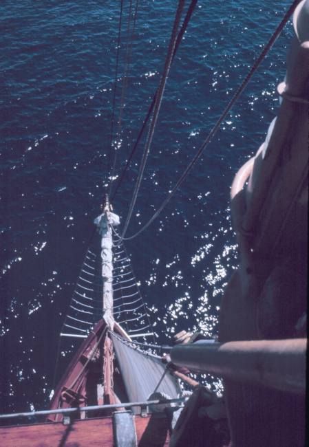 Looking down from the mast of the WESTWARD to the bowsprit