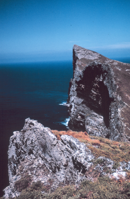 The cliffs