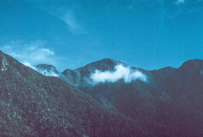 Pico Torquino in the Sierra Maestra, Cuba's highest mountain, 1974 meters