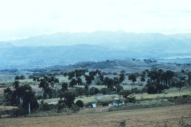 The rolling countryside of Las Villas Province
