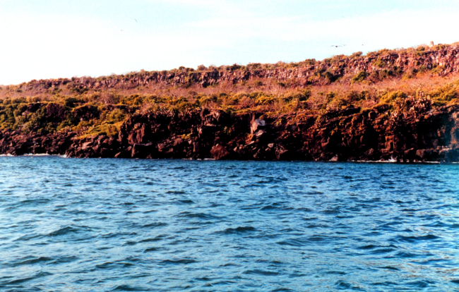 Red lava cliffs