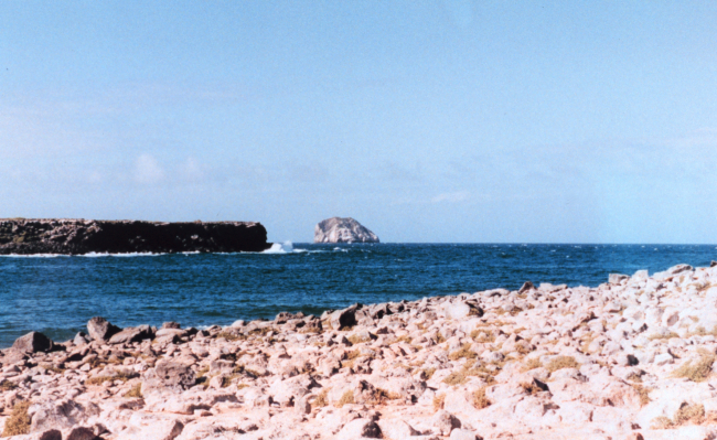 Rock and sea at Plazas Island