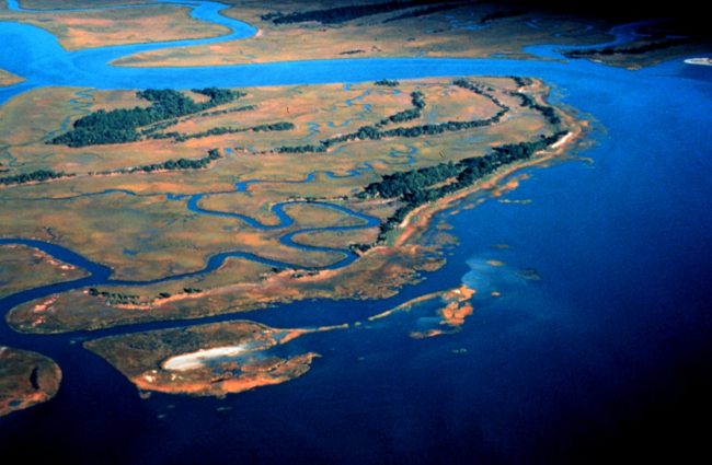 ACE Basin National Estuarine Research Reserve