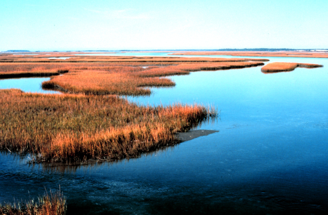 North Carolina National Estuarine Research Reserve
