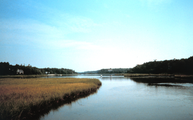 Waquoit Bay National Estuarine Research Reserve