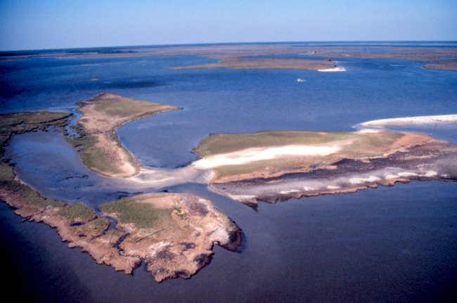 Grand Bay National Estuarine Research Reserve