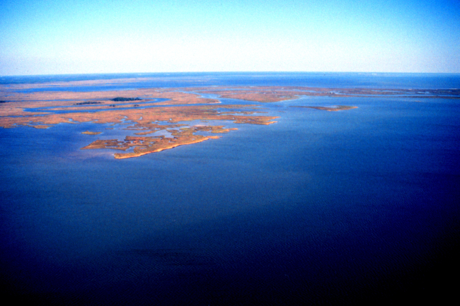 Grand Bay National Estuarine Research Reserve