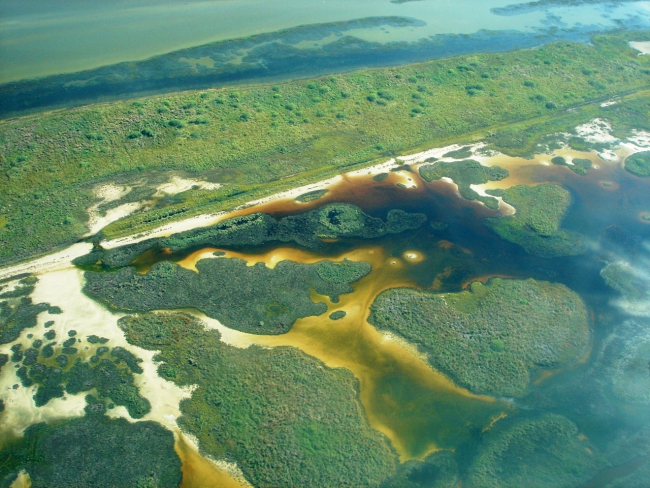 Mission-Aransas National Estuarine Research Reserve