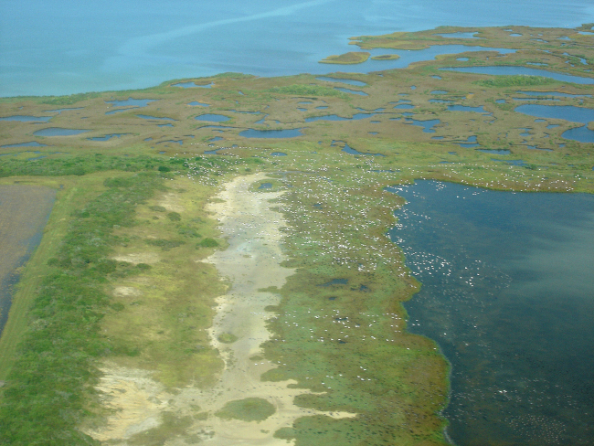 Mission-Aransas National Estuarine Research Reserve