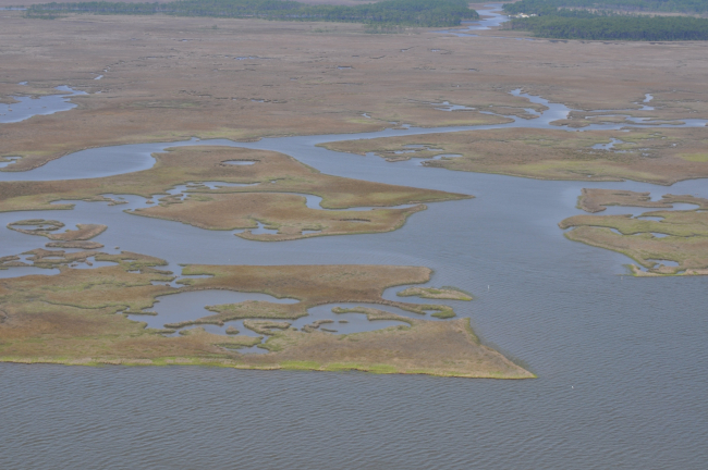 Aerial survey along the shoreline of Southwest Bayou