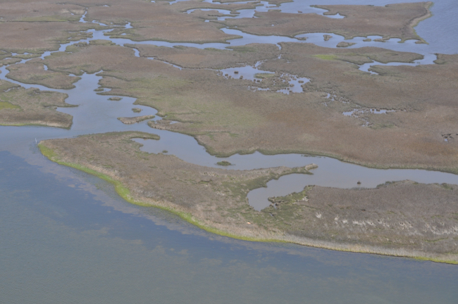 Aerial survey of Clyde's Cut, a shallow water pass between Bayou Heron andMiddle Bay