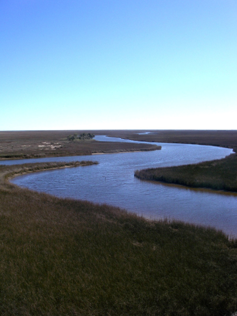 Gautier Bayou (bottom) flowing into Bayou Heron (top)
