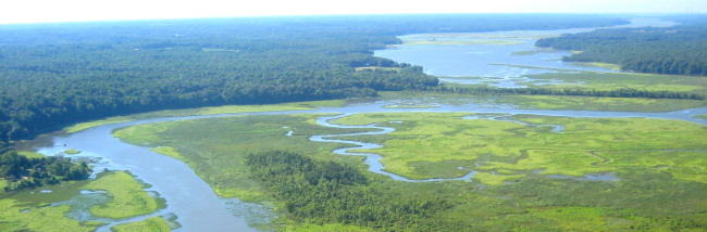 Aerial view of Chesapeake Bay National Estuarine Reserve