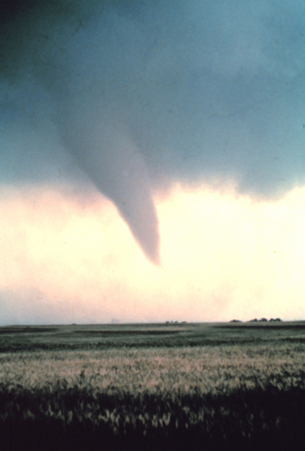 Tornado at beginning of life - condensation funnel has not yet reached ground