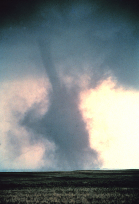 Tornado with large dust cloud obscuring funnel shape